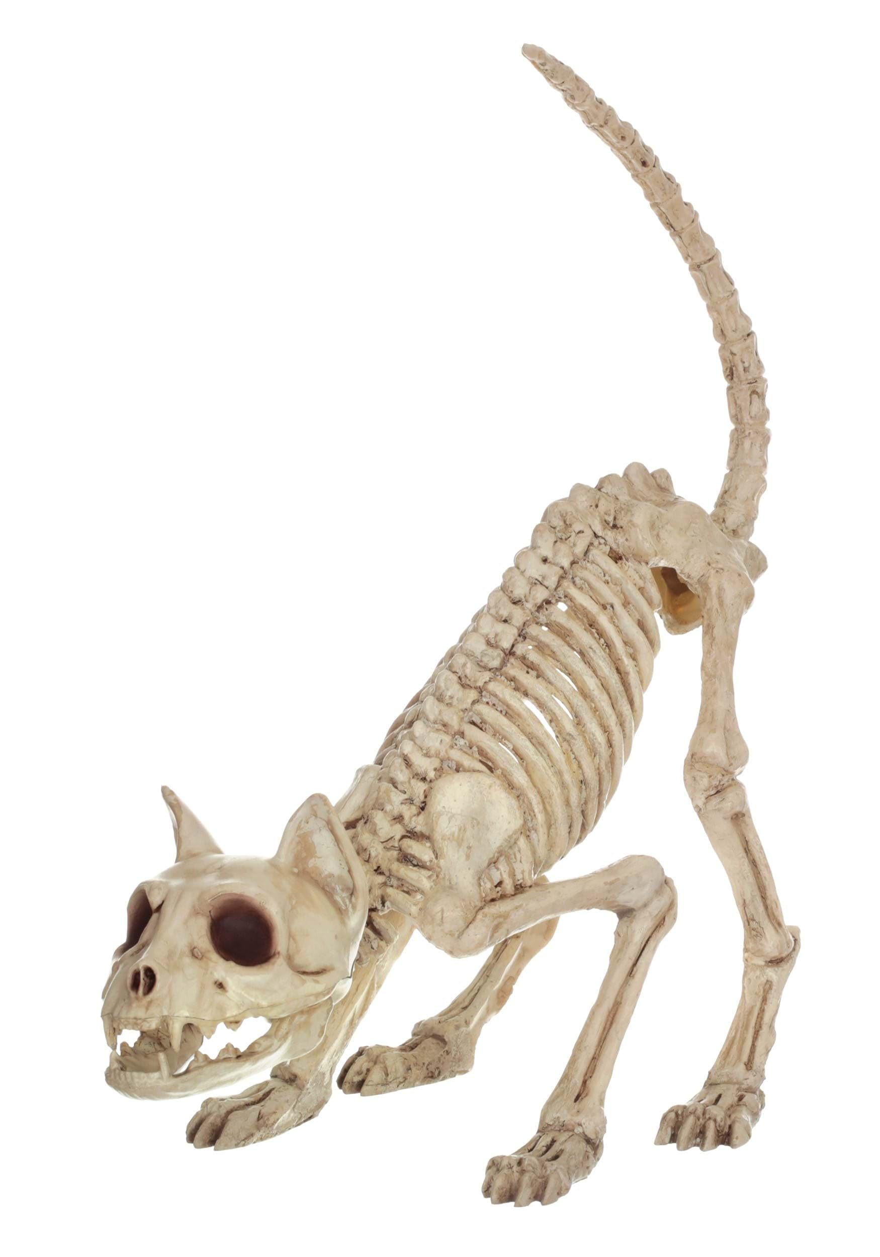 リアルヘッド　バケモン　骨チュンキャット Amazon.com: Crazy Bonez Skeleton Cat - Lil' Kitty Bonez : Toys & Games